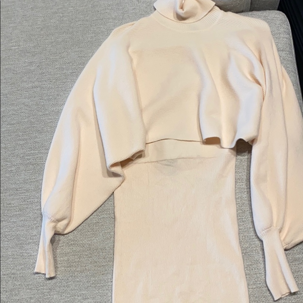 Forever 21 skirt and turtleneck